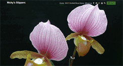 Desktop Screenshot of nickysslippers.com