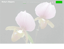 Tablet Screenshot of nickysslippers.com